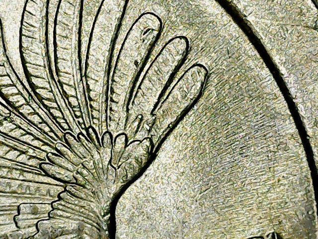2015-Kisatchie-Quarter-